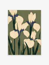Japanese iris flower botanical illustration art print with cream petals and blue accents on olive green