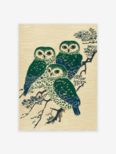 Three green and blue Japanese owls perched on a pine branch, depicted in a traditional Ukiyo-e style art print.