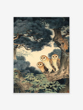 Three barn owls perched on a pine tree branch in a traditional Japanese art style, Japanese Owl Wall Art.