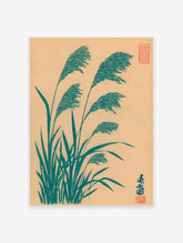Japanese Pampas Grass botanical art print in teal on a light brown background, with red Japanese seals.