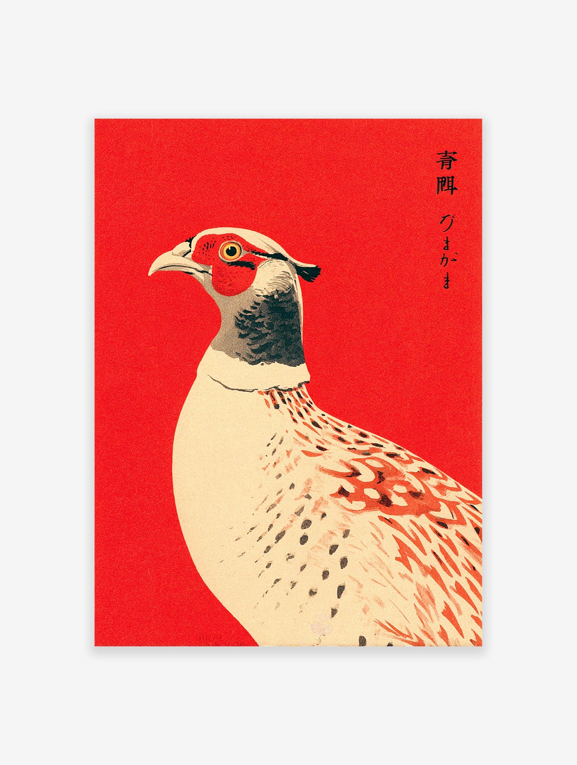 Japanese pheasant bird illustration art print on a vibrant red background in Ukiyo-e style.