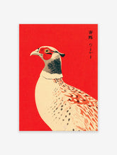 Japanese pheasant bird illustration art print on a vibrant red background in Ukiyo-e style.