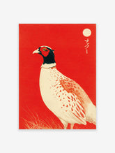 Japanese pheasant bird illustration on a bold red background with a cream moon and Japanese calligraphy.