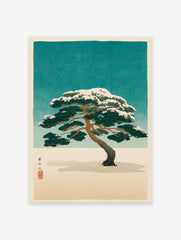 Japanese pine tree woodblock print with snow-covered branches against a teal sky and white ground, featuring a red seal.