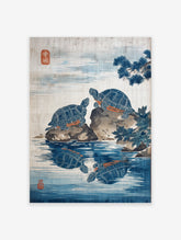 Japanese Turtle Art Poster showing two blue turtles on rocks with reflections in serene blue water and a pine branch.