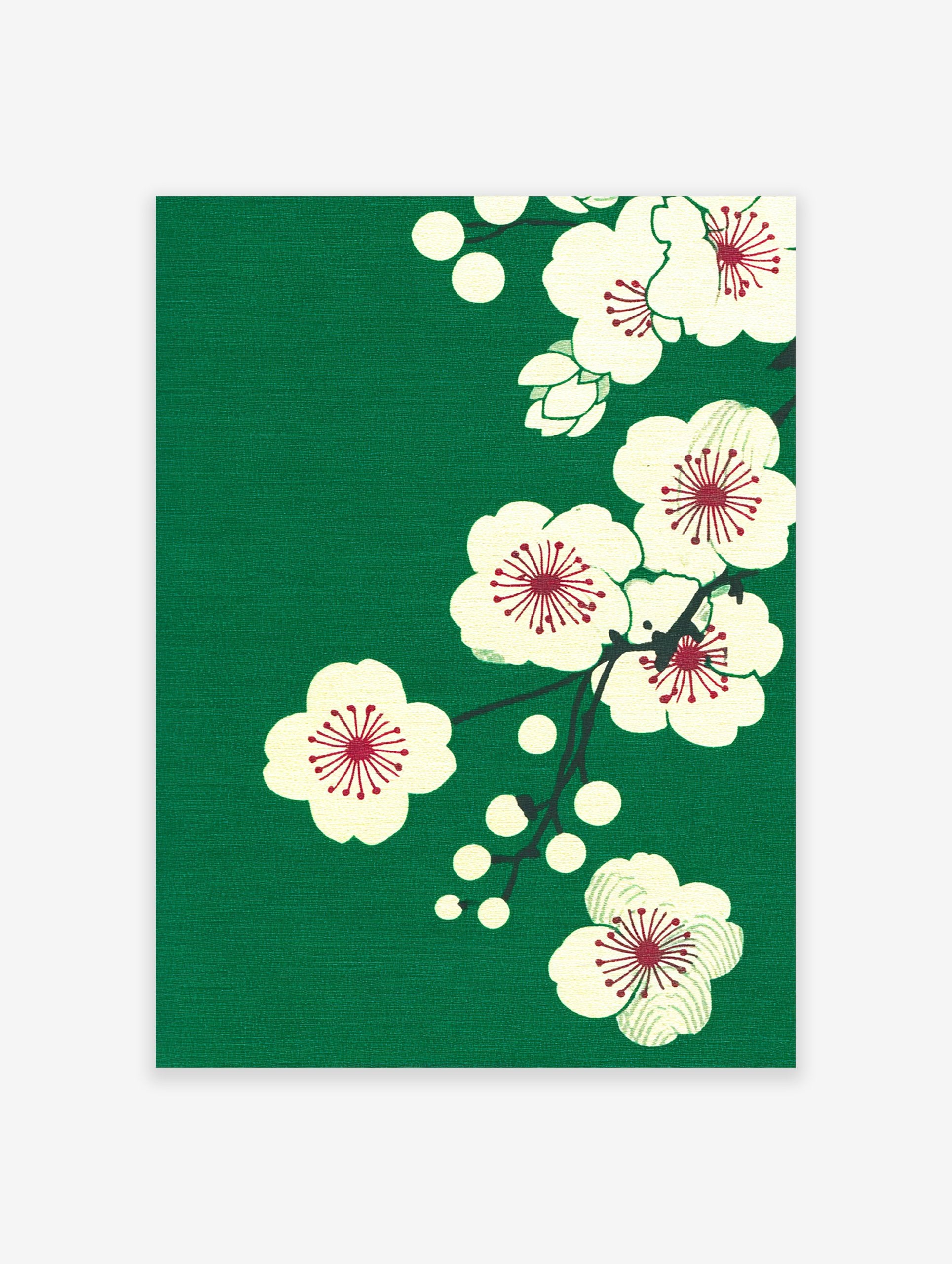 Japanese plum blossom art print with white flowers and dark red centers on a dark green textured background.