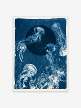 Jellyfish cyanotype wall art in blue and white featuring jellyfish floating around a central dark circle on paper