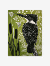 Kingfisher bird illustration in black and white against a green background with cattails and wetland plants