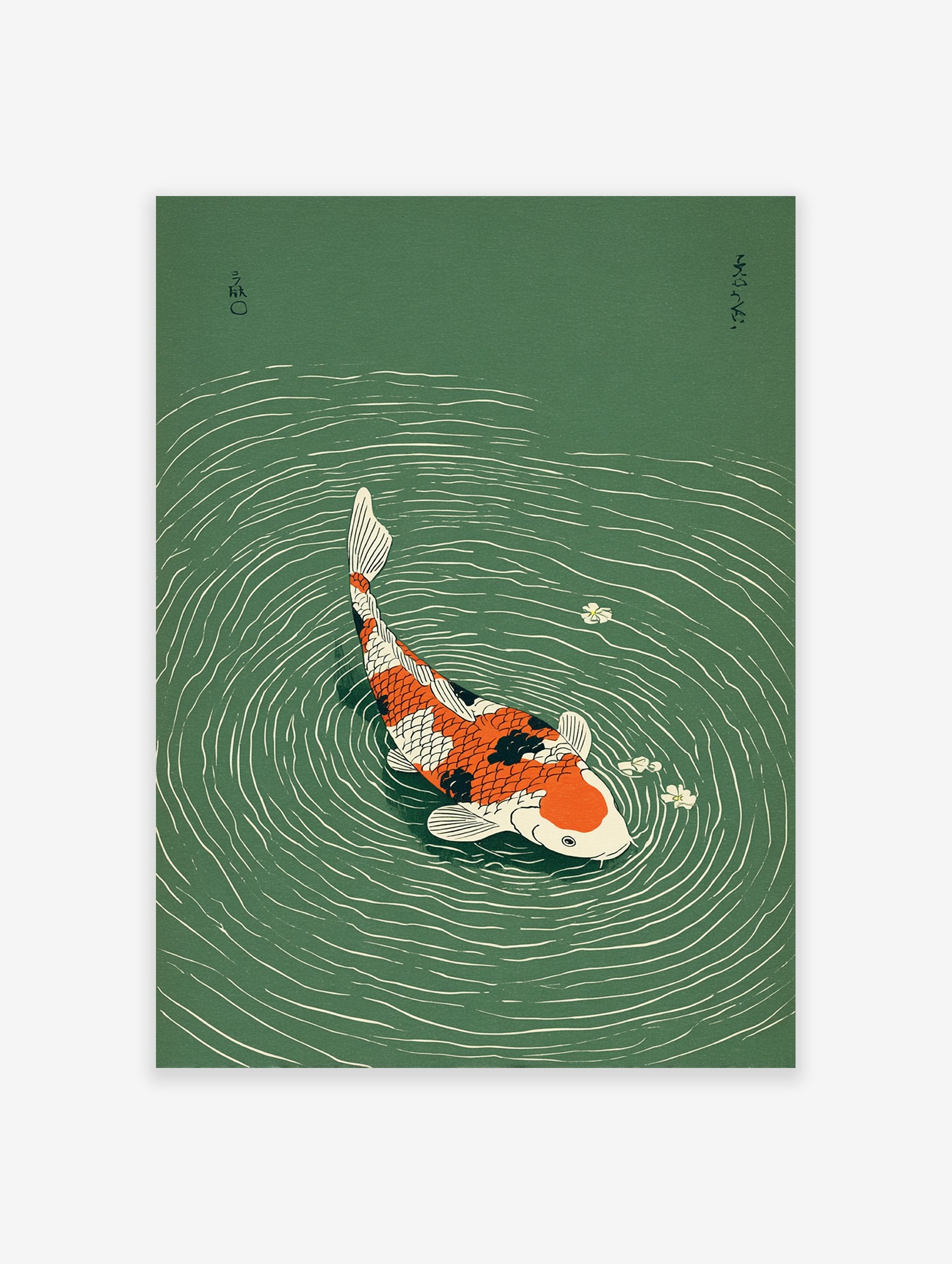 Vibrant orange, black, and white koi fish swimming in green water with ripples and white flowers, Japanese illustration art print.