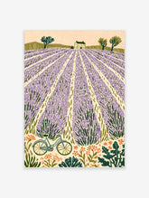 Lavender field poster with purple rows, stone farmhouse, cypress trees, and blue bicycle in foreground