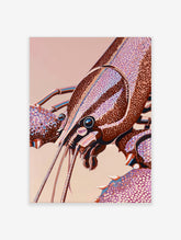 Close-up lobster illustration with segmented shell, blue eye, and long antennae on a pink background