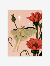 Luna moth illustration with pale yellow wings between two red poppy flowers on a pink background with star accents