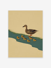 Mallard duck and six ducklings swimming in teal water beside a grassy bank, animal wall art print
