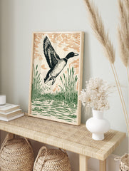 Linocut style art print of a mallard duck flying from water with green reeds and orange-brown, in an alternate framed mockup
