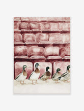 Watercolour illustration of five mallard ducks in a row in front of reddish-brown theatre seats