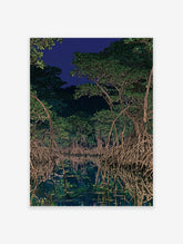 Illustration of a dark mangrove forest at night with tangled roots reflected in still water under a deep blue sky.