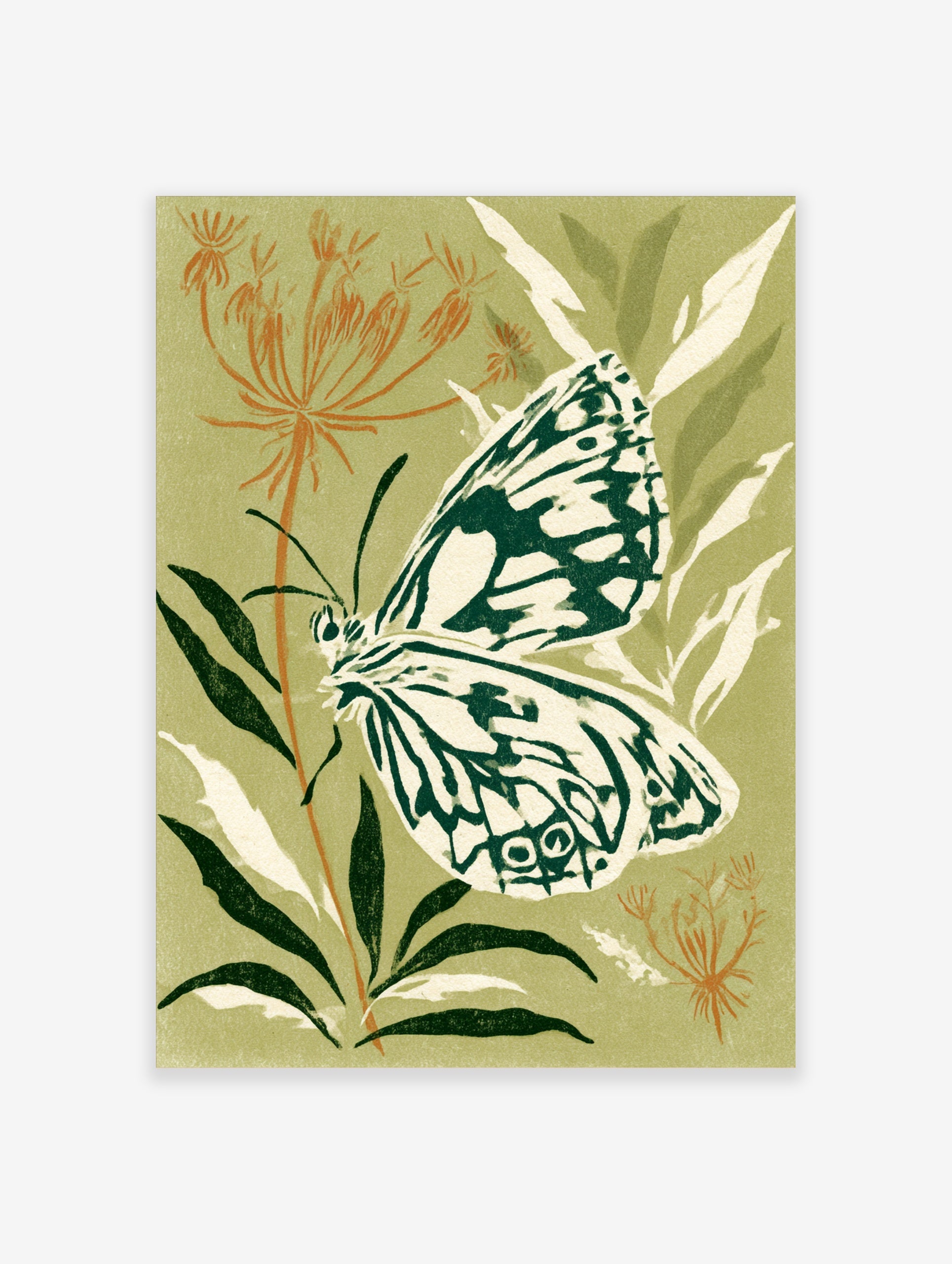Illustrative marbled white butterfly on plant against olive green background botanical art print