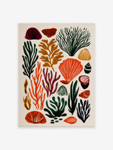 Stylized marine life poster featuring various seaweed, coral, and shell illustrations in green, orange, red, and brown colors.