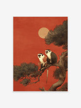 Illustration of two monkeys with white faces and chests sitting on a tree branch against a deep red sky with a pale sun.