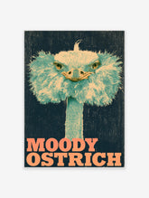 Moody ostrich portrait in teal and cream with orange MOODY OSTRICH typography on navy background