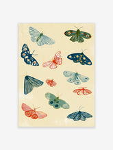 Colourful moth and butterfly art print with twelve stylised insects on a cream background