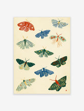 Japanese woodblock style moth and butterfly art print with nine insects on cream background