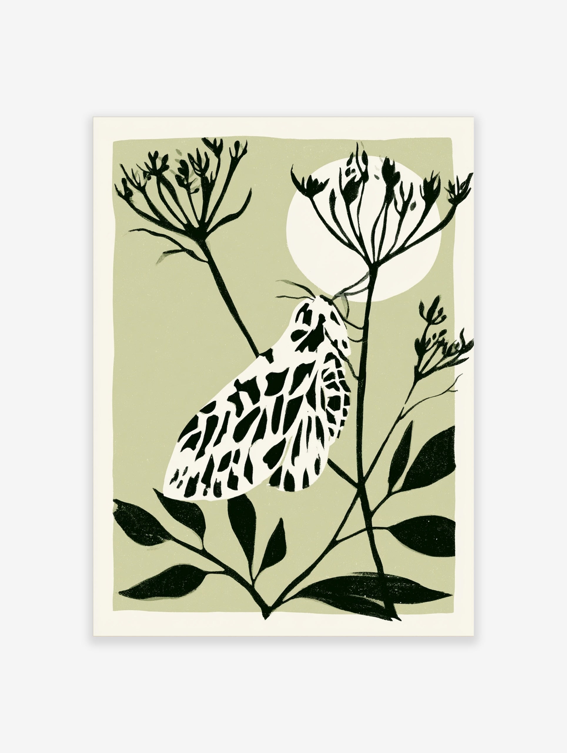 Illustrative moth botanical art print with black and white insect on a plant stem against a pale green background