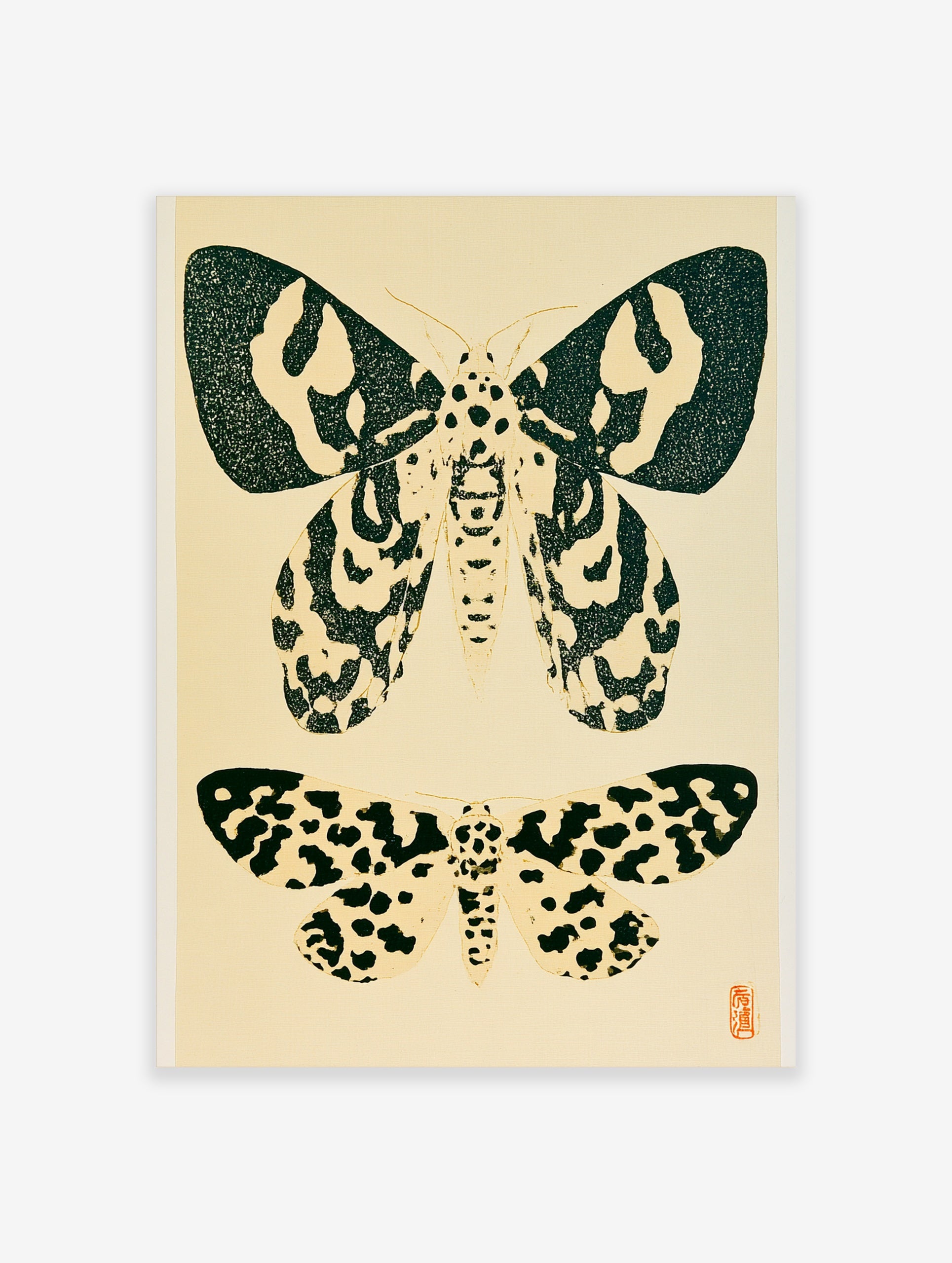 Vintage style moth illustration print with two insects in black ink on a cream background