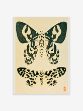 Vintage style moth illustration print with two insects in black ink on a cream background