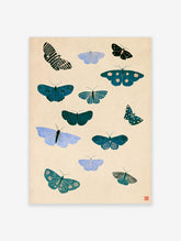 Teal and blue moth and butterfly art print with patterned wings on a beige background