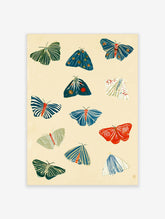 Nine stylised moths and butterflies with striped and patterned wings in blue, green, red and cream on a beige background