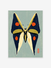 Navy and cream moth art print with orange spots on a pale blue-grey background