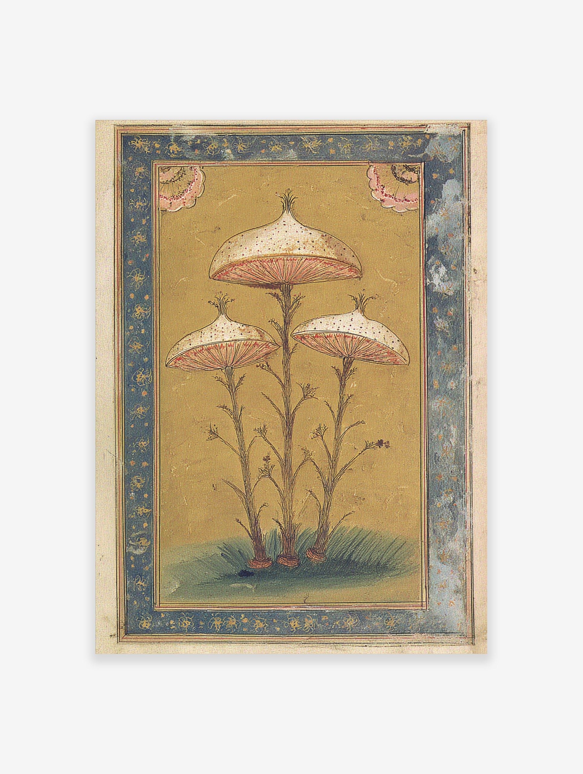 Botanical illustration of three ornate mushrooms with speckled caps and pink gills, framed by a blue border
