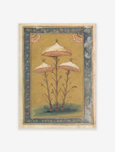 Botanical illustration of three stylised mushrooms with white spotted caps, pink gills, and thin stems on golden background