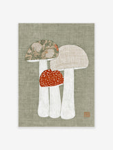 Mushroom art print with three toadstools, floral and grid caps, red spotted centre mushroom, green background