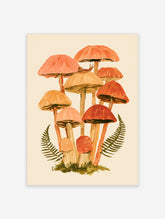 Mushroom wall art print showing orange and peach fungi with a snail and green fern fronds