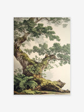 Detailed botanical illustration poster of an old, moss-covered oak tree with lush green foliage against a light background.