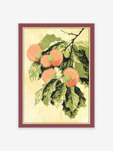 Orange fruit botanical print featuring tropical spiky fruits and green leaves on a branch, in a vintage illustration style.