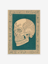 Ornate skull illustration in dark teal on beige, with intricate floral patterns and decorative border