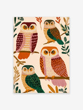 Illustrated owl art print featuring four colorful owls with patterned feathers perched on tree branches against a light background.