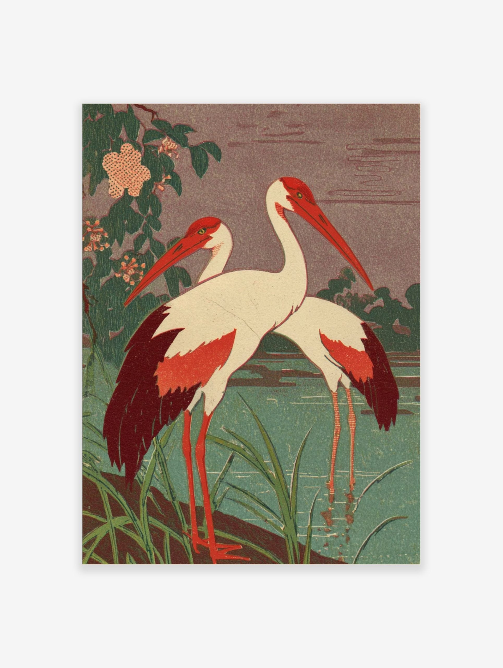 Two red-billed cranes with white bodies and red wings standing by a teal pond with green foliage
