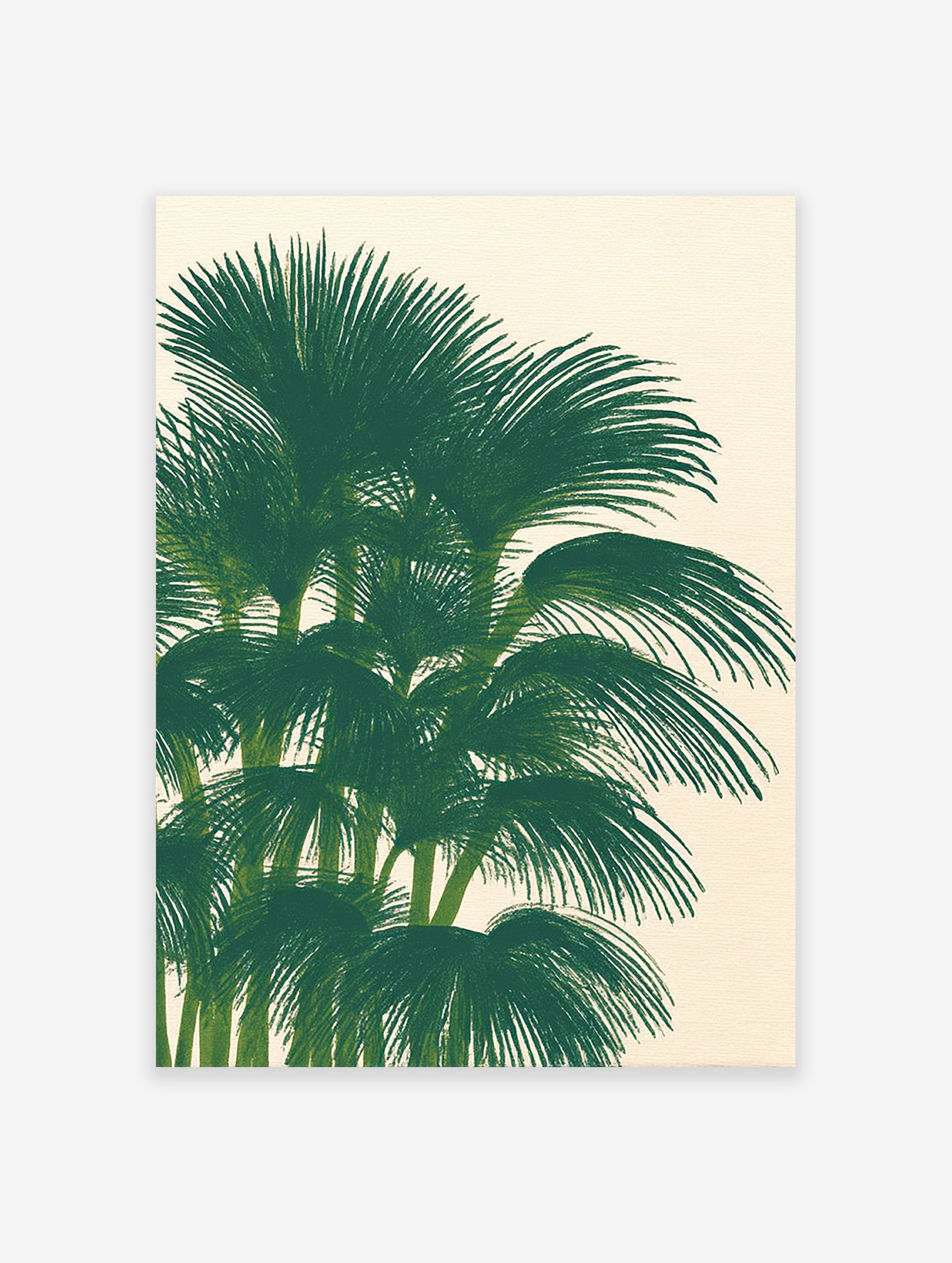 Illustration of green palm tree leaves and trunks against a light background, providing tropical palm tree wall art.