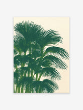 Green palm tree fronds botanical illustration art print on a light background