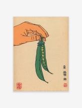 Japanese vintage illustration of a hand holding green pea pods on a light background, with text and red seals.