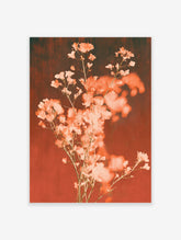 Peach blossom branches with coral flowers against a warm red background, botanical art print