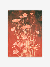 Peach poppy flower botanical art print with slender stems on a warm red background