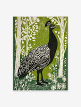 Black peacock with white feather details in green woodland linocut style print