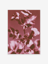 Pink botanical rose leaf art print with soft focus blooms on a deep pink background