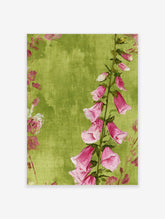 Pink foxglove flower botanical illustration on a textured green background art print