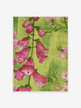 Pink foxglove flowers with green leaves on a textured green background, botanical art print